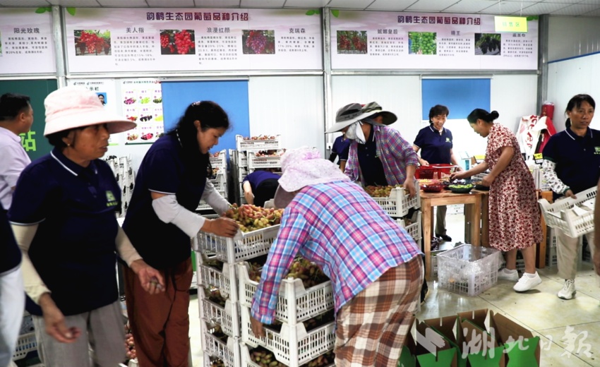 澳门威利斯人安全吗6